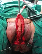 Urology Clinic