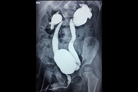 Urology Clinic