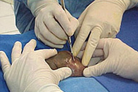 Urology Clinic